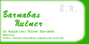 barnabas mulner business card