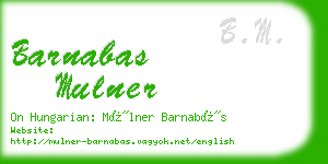 barnabas mulner business card